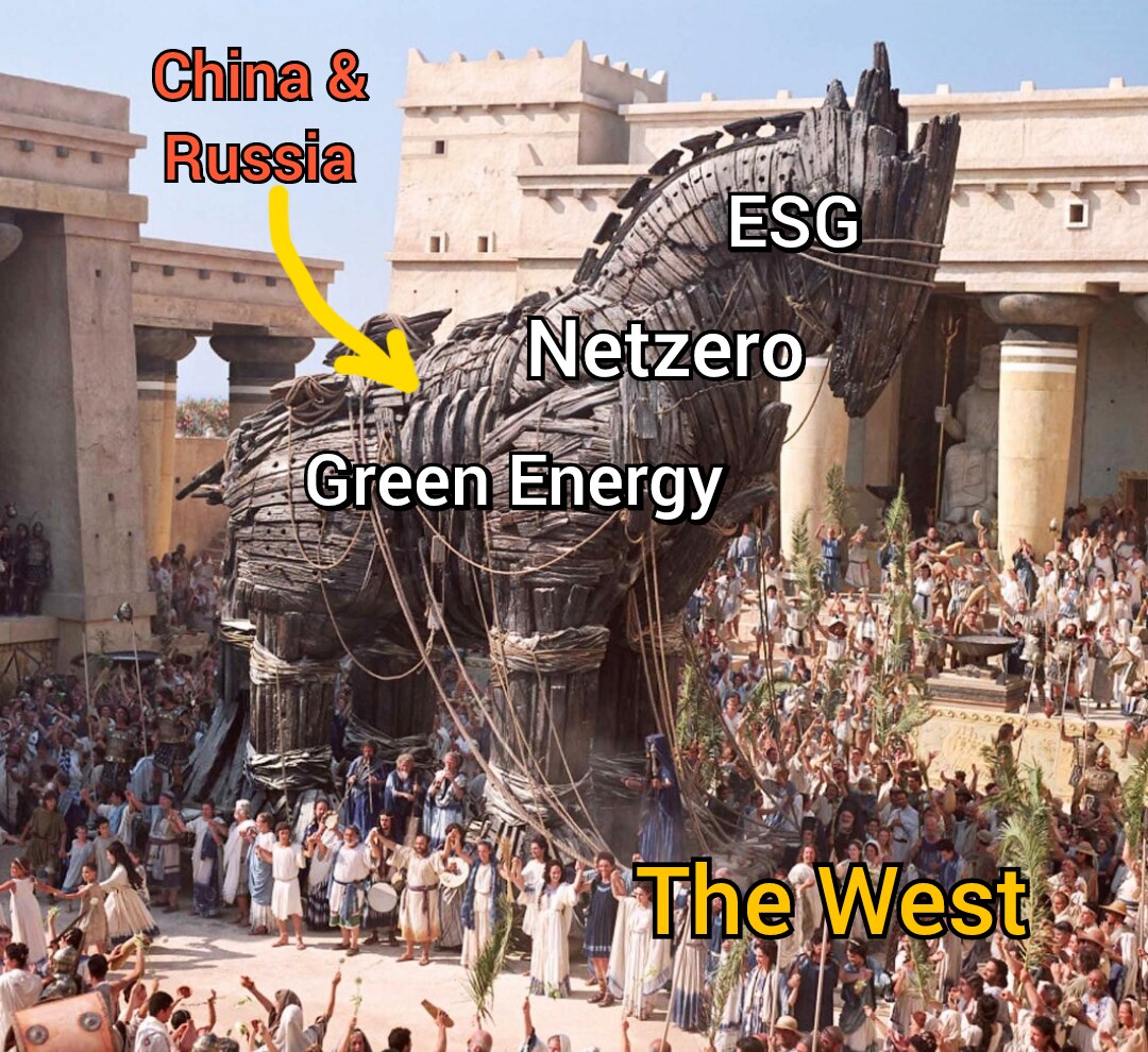 The true story behind Netzero. #energycrisis 