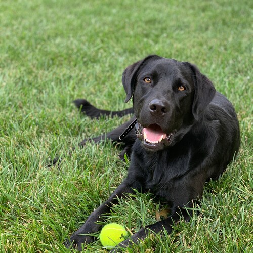 Wife, Mom, Lover of God, Proud Deplorable, I trust God-given natural immunity. 🚫 jabs.