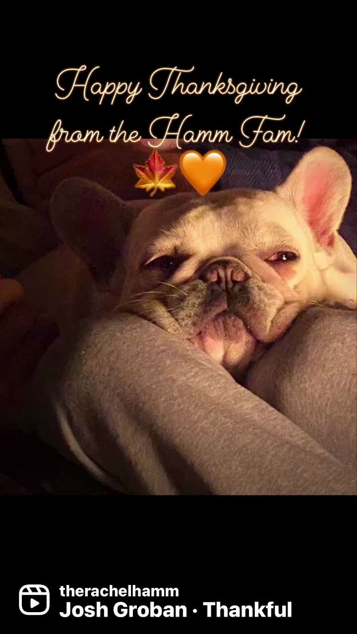 View therachelhamm's post on GETTR. Join the discussion, share your thoughts, and connect with the community.