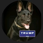 🇺🇸 Ultra Deplorable Paul 🇺🇸