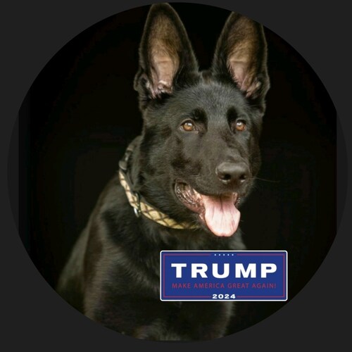 ⭐Our fallen⭐
Our Veterans
Our Troops 
Our  Police
THANK YOU
🙏
#IFBAP
#UltraMAGA
#BackTheBlue
#GodBlessOurTroops
#GodBle...