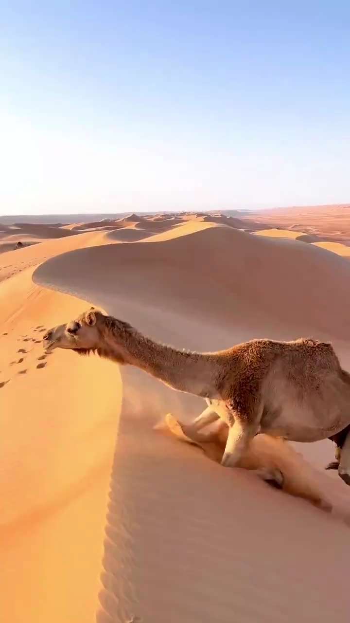 命运有三个大的转折点：

原生家庭，夫妻伴侣，觉醒的自己。

若没有传统有爱的家庭，称心如意的伴侣，就一定要唤醒那个强大的自己，重新洗牌……