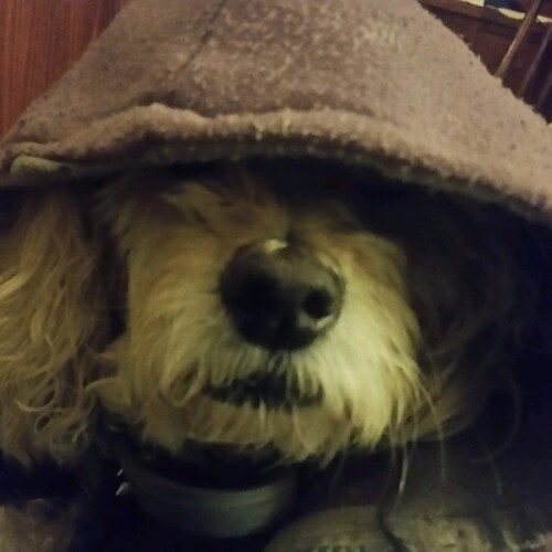 Visit Thomas_Vane's profile on GETTR. View their posts, photos, videos, and connect with them on the social platform.