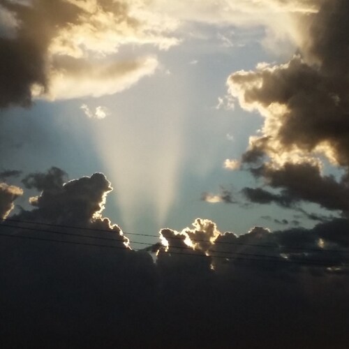 Visit Frankperrewar's profile on GETTR. View their posts, photos, videos, and connect with them on the social platform.