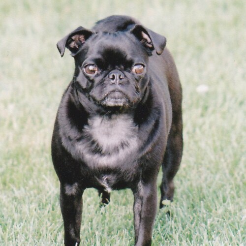 Christian MAGA supporter. Love our country and President Trump.