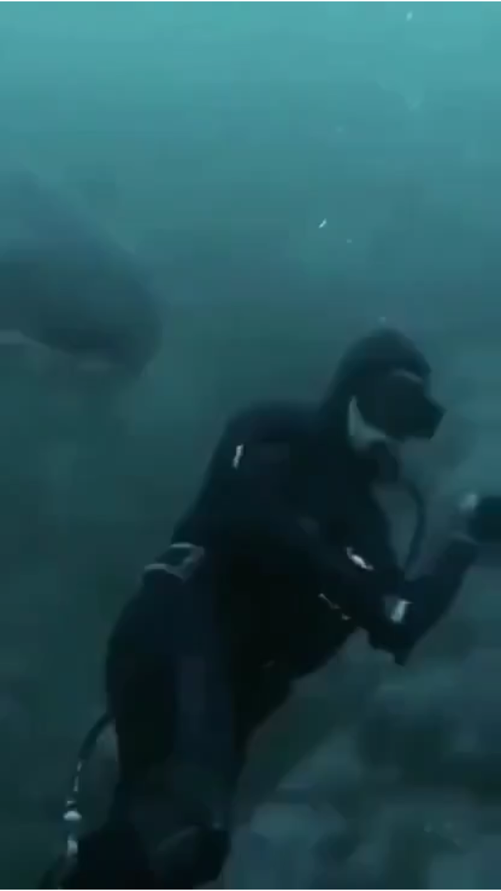 View ☦️🦁⚔ 🆃🆁🅴🅱 ⚔🩸's post on GETTR. Join the discussion, share your thoughts, and connect with the community.