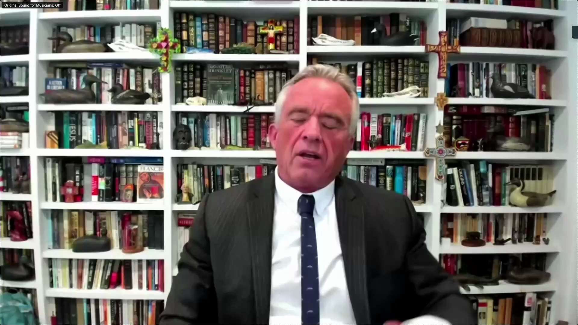 Robert Kennedy Jr tells jimmy dore anthrax was mailed to the two senators trying to block the Patrio...