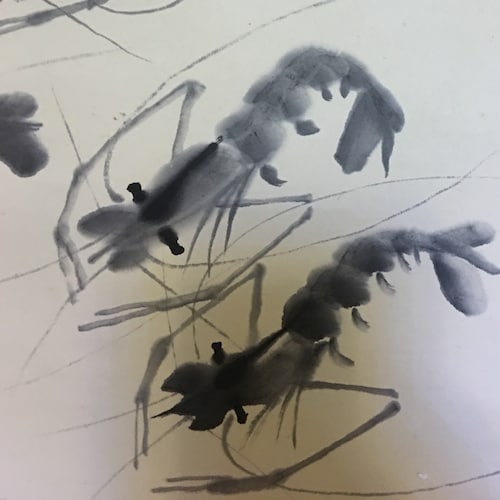 亚中✝️✝️✝️