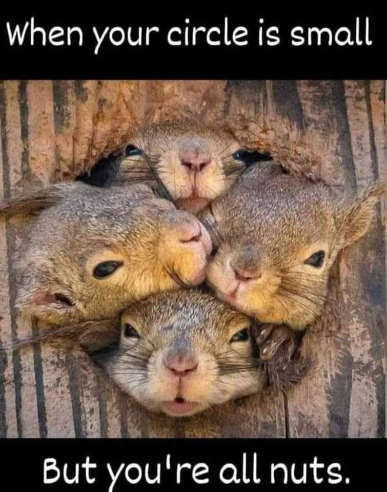 Happy Friday eve!! Y'all in my circle so I guess that means we're all nuts 🤣🤣🤣