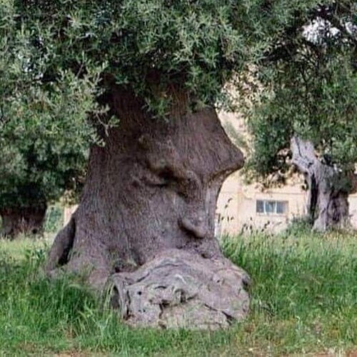 Visit Wrtlbrnft's profile on GETTR. View their posts, photos, videos, and connect with them on the social platform.