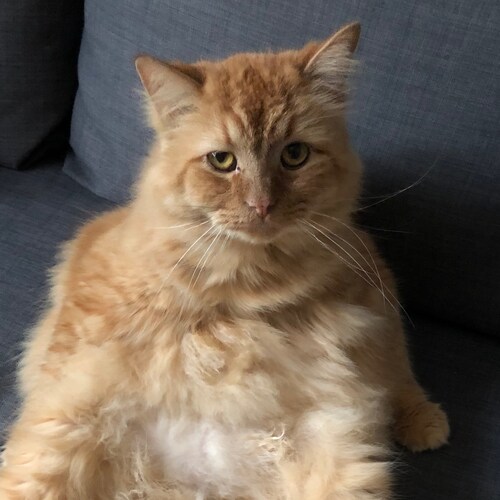 Free thinking, boss attitude, hard working, looking for big ideas to combat this new crazy world