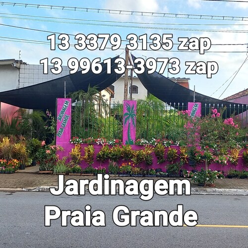 Vasos de Cimento, Plantas Ornamentais e Frutíferas,Cactos e Suculentas Ervas e Condimentos, Grama Esmeralda, Coqueiros, ...