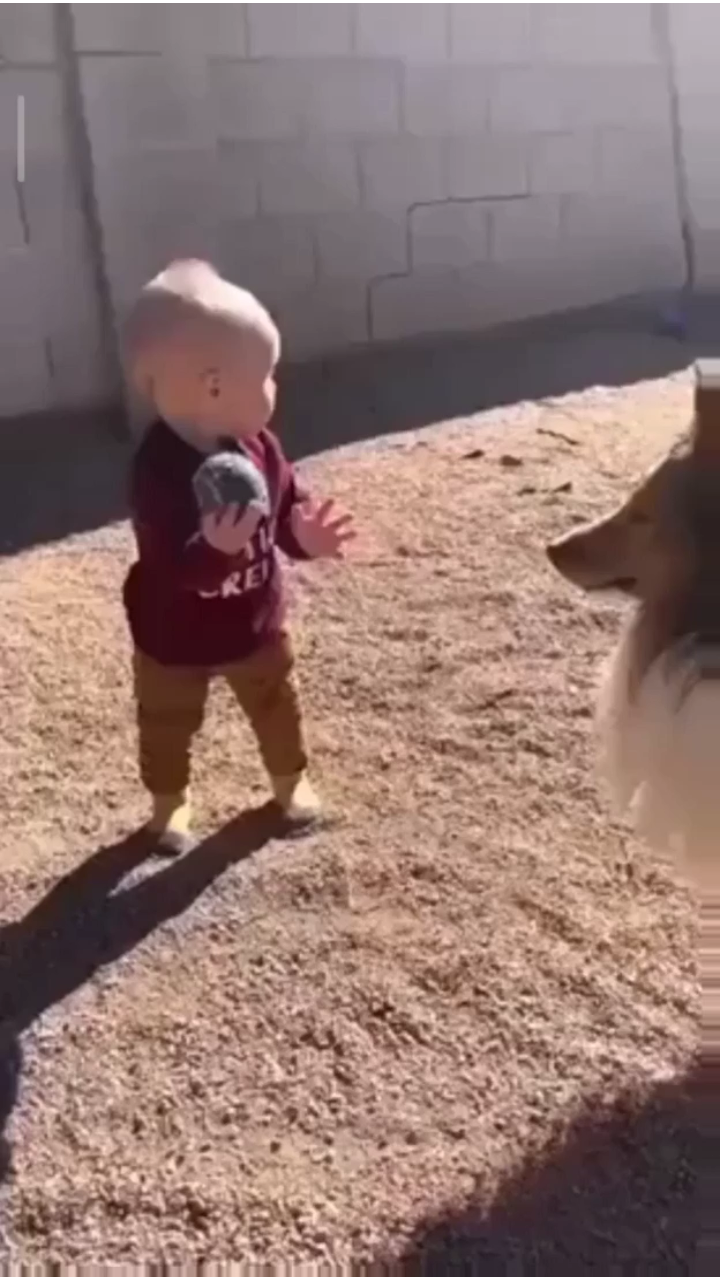 View ☦️🦁⚔ 🆃🆁🅴🅱 ⚔🩸's post on GETTR. Join the discussion, share your thoughts, and connect with the community.