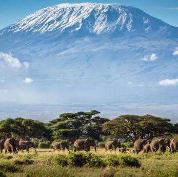 Visit wangbule14's profile on GETTR. View their posts, photos, videos, and connect with them on the social platform.