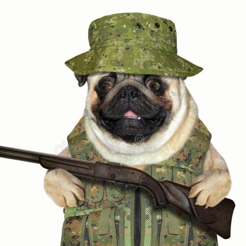 Freedom loving Patriot!🍊 pug Defend our Republic form ALL Enemies both Foreign and Domestic MAGA Force be with you