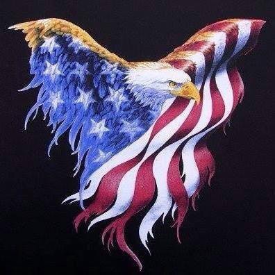 We The People are Fed. The Fuck UP. 💪🇺🇸let me know when the Revolution starts ,I’m done listening to we got more  evi...