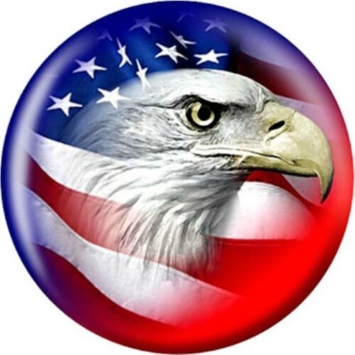 We the People Movement for a Better World in the Future. We the People are Fighting for Freedom, while the corrupt World falls apart.