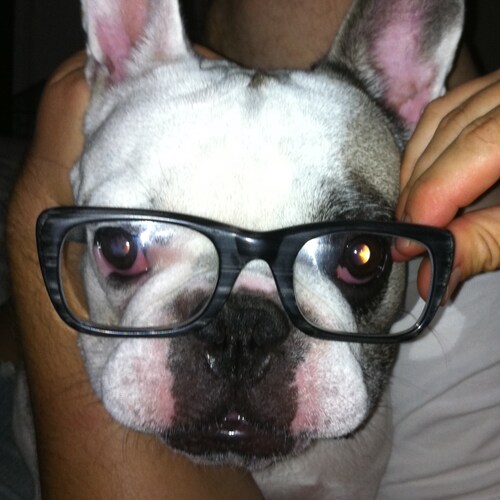 Visit augiegusto's profile on GETTR. View their posts, photos, videos, and connect with them on the social platform.