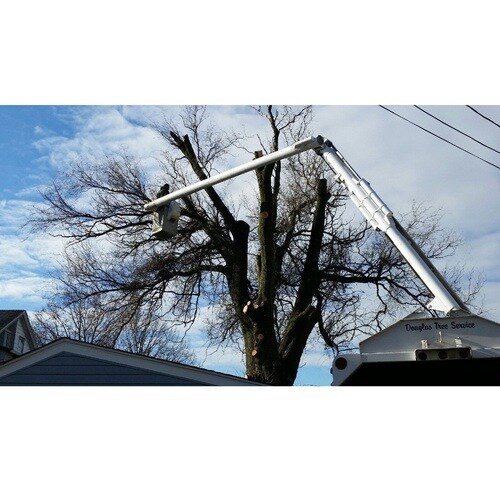 Douglas Tree Service servicing Lancaster County, Pa for over 25 years. Our certified arborist have the experience, train...