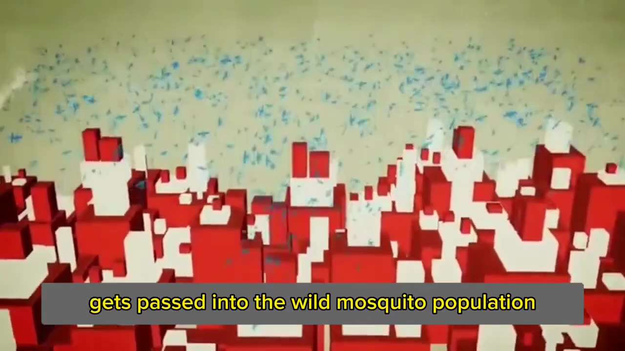 比尔·盖茨——这是比尔在哥伦比亚的蚊子工厂。它是世界上最大的。

每周有 3000 万只转基因蚊子被释放到 11 个国家。