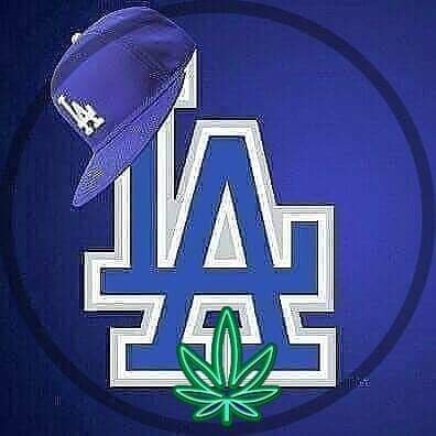 Pro gambler. Ex sports writer & Pro wrestler. God ✝️ & America 🇺🇲 
Follox on X  at: @ronbruderekjr