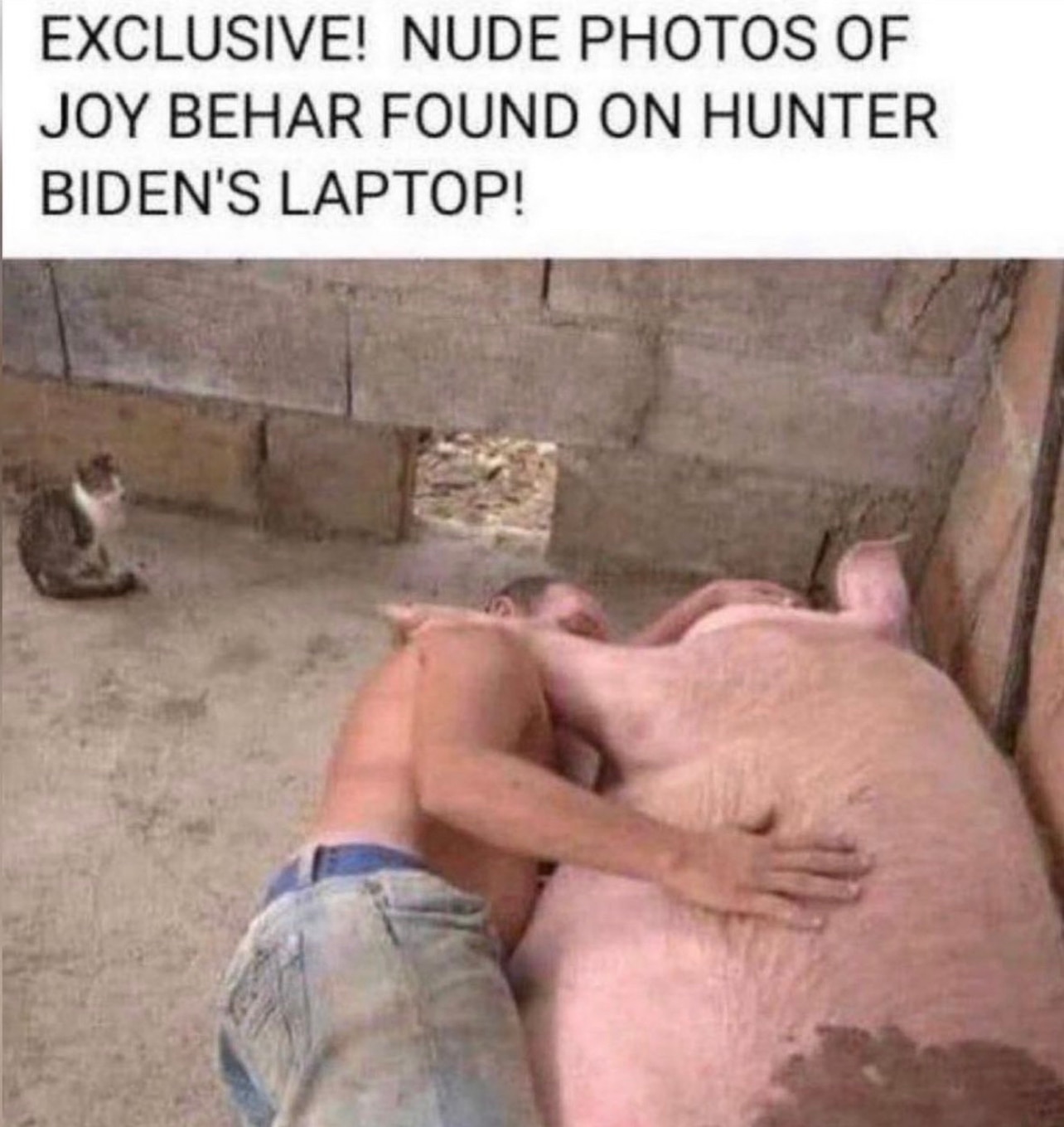 Hunter Biden laptop had explicit Joy Behar pictures. #joybehar #hunterbiden #biden 