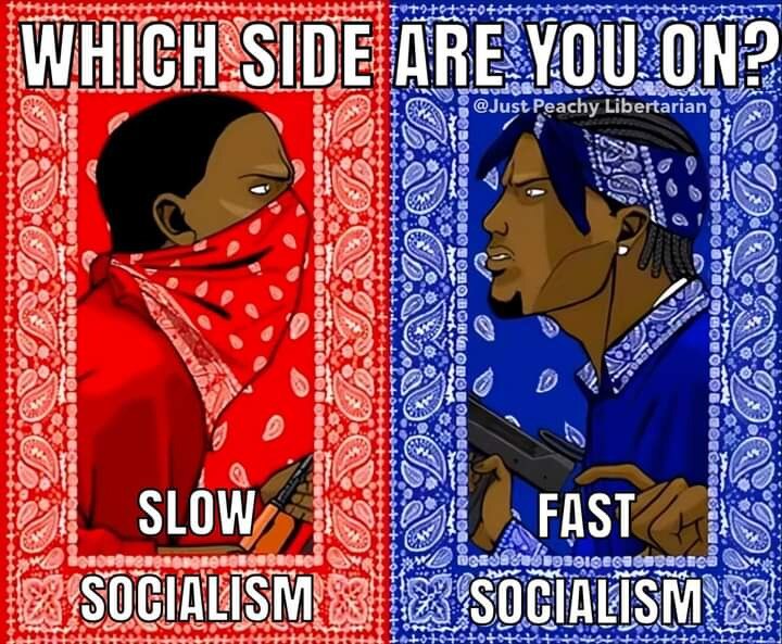 Which Side Are You On? Slow Socialism Vs. Fast Socialism

I, speaking for myself, do not support eit...