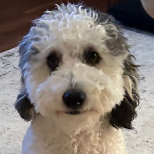 Freedom loving patriot. God forgives; I don’t.
"There is no truth, only power."