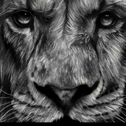 Social Media is BETTR with GETTR. BETTR community. BETTR technology. BETTR opportunity.