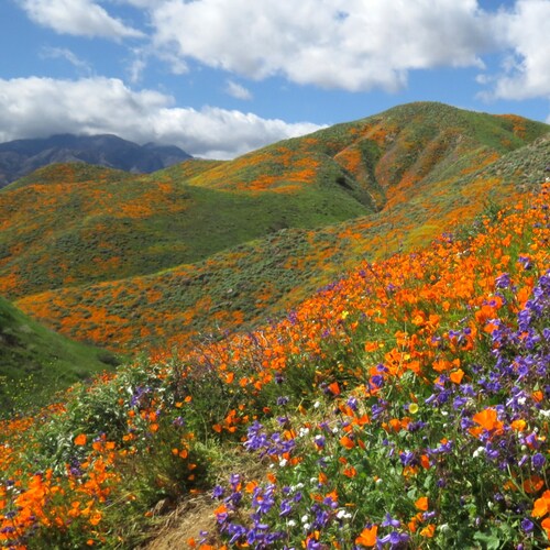 你愿意人怎样待你，你也要怎样待人。