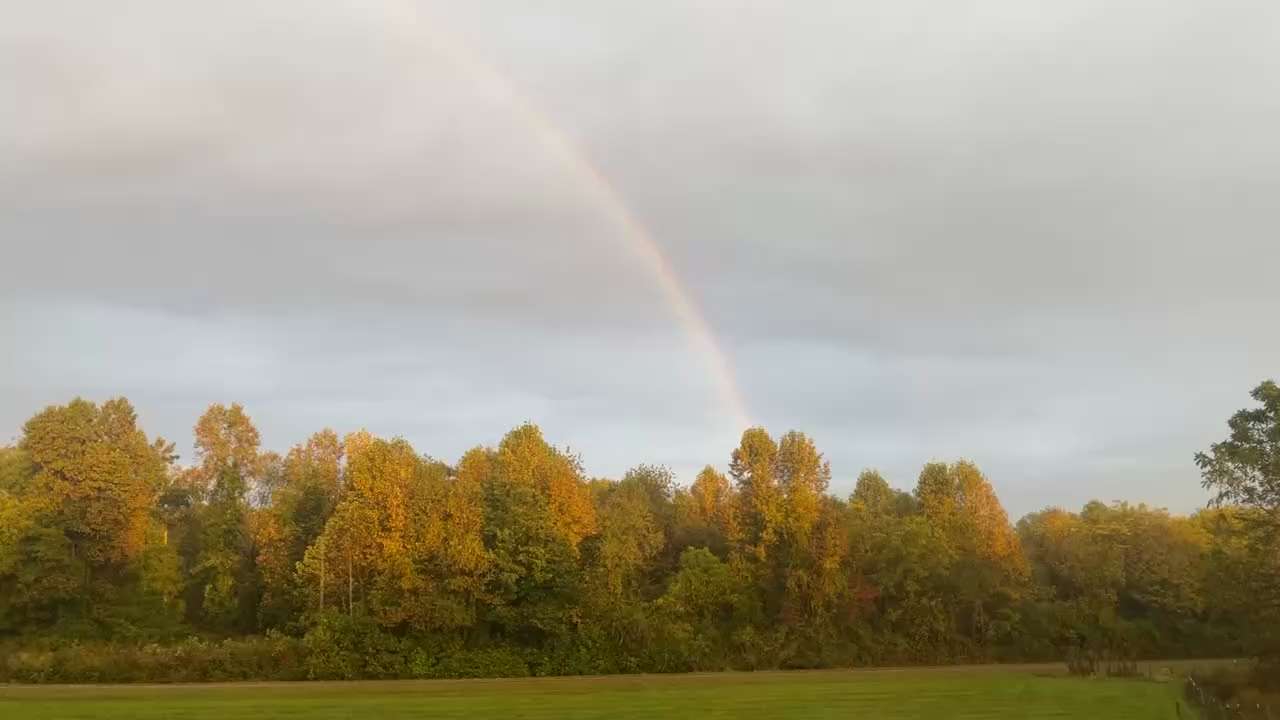 #Godspromise #wewillwin #trump2024 #neverbackdown #donttreadonme

This morning, I stepped outside to...