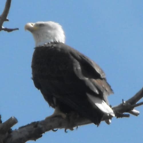 Visit TJT777's profile on GETTR. View their posts, photos, videos, and connect with them on the social platform.