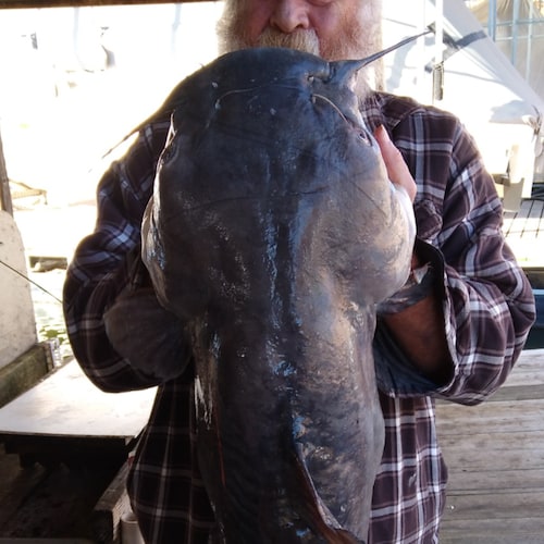 Visit martindom's profile on GETTR. View their posts, photos, videos, and connect with them on the social platform.