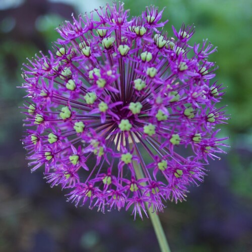 Visit businiao's profile on GETTR. View their posts, photos, videos, and connect with them on the social platform.