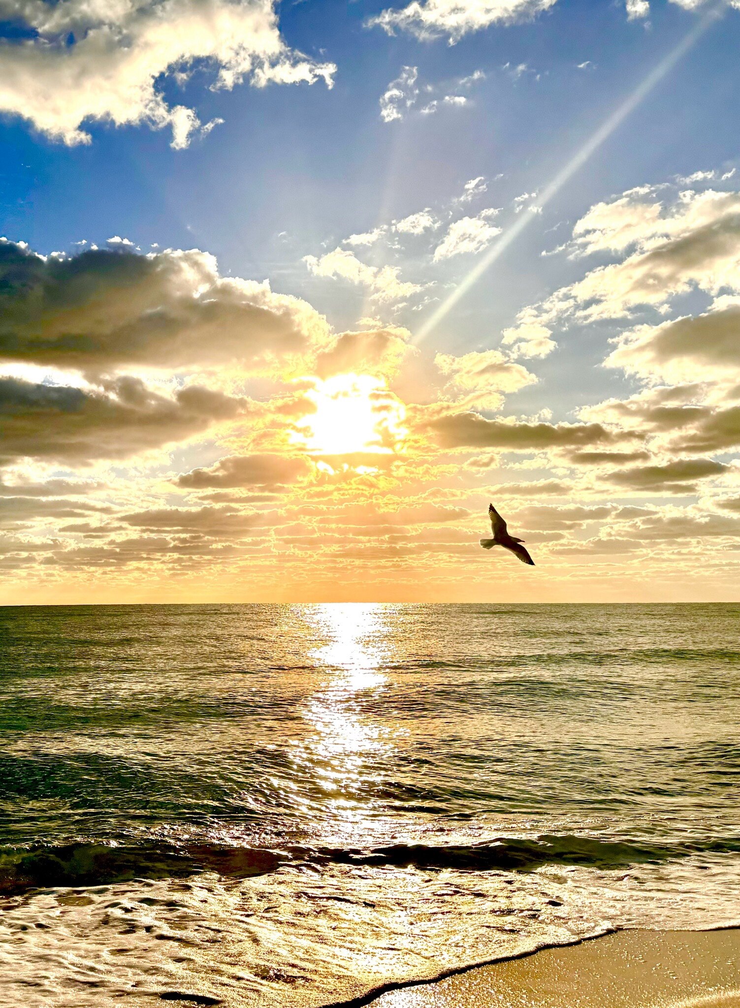 在这浓云密布的蓝天，日辉映照在一望无际的海面，金波粼粼
……
一只展翅翱翔的雄鹰🦅飞向了天空
……
7哥我想您了，看着郭美拍的这张颇有深意的照片，感觉您就是一只翱翔在天空的雄鹰🦅
……
💙💙�...