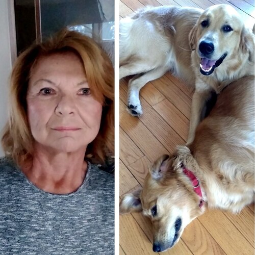 Visit jeniston🍊🍊🇺🇸's profile on GETTR. View their posts, photos, videos, and connect with them on the social platform.