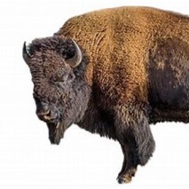 Visit PaulFreedman's profile on GETTR. View their posts, photos, videos, and connect with them on the social platform.