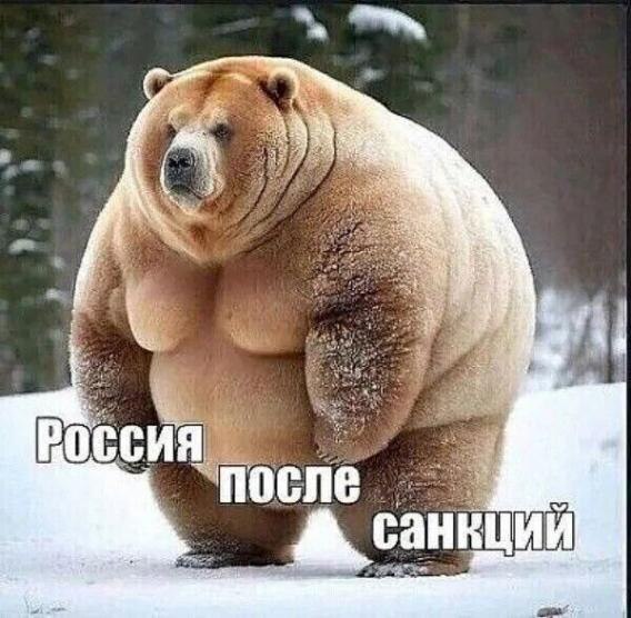 View andybandy2903 ®️💤 🌿👣's post on GETTR. Join the discussion, share your thoughts, and connect with the community.