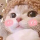 Visit nunes's profile on GETTR. View their posts, photos, videos, and connect with them on the social platform.