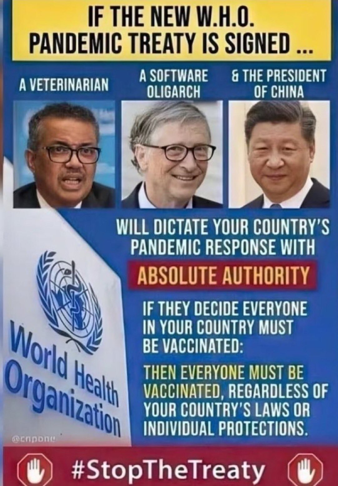 You must look to see the real players 