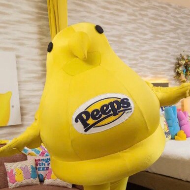 Visit AveryRoyBurton's profile on GETTR. View their posts, photos, videos, and connect with them on the social platform.