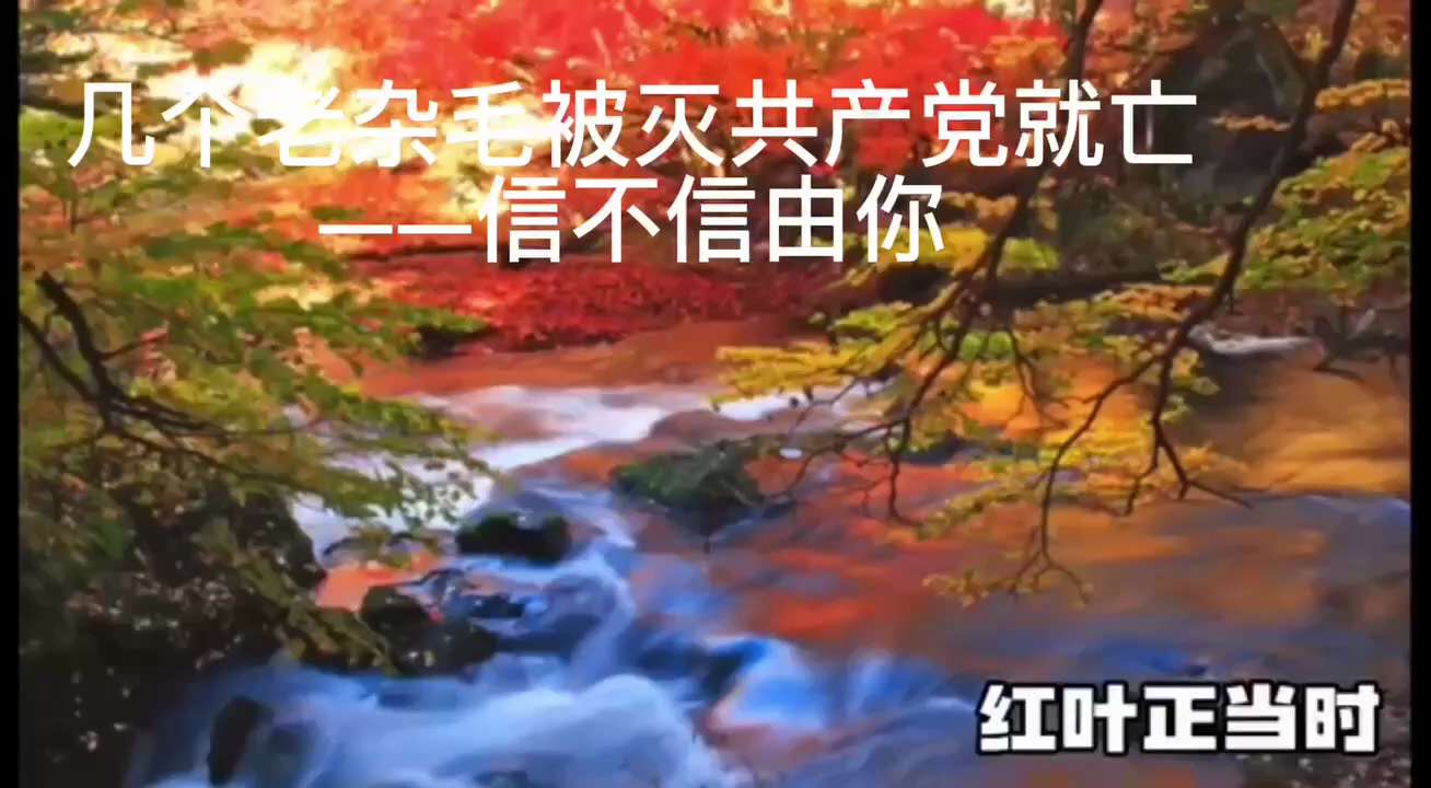 几个老杂毛被灭共产党就亡——信不信由你
被这200万个所謂的自己儿女穿上警服像吃人尸丸一样，来虐待14亿中国人是不可能的，共产党镇不住这一次。
现在坐以待毙等死，那中国人真就不应该活着了！
这200万...