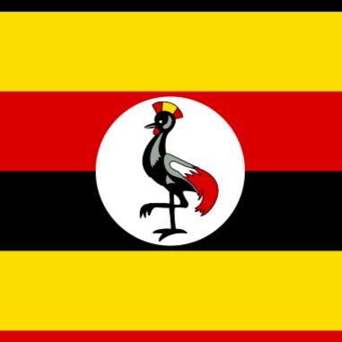 I am dedicated to offering vital support for those eager to explore Uganda. My aim is to enjoyable journey to this capti...