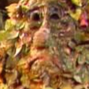 Visit Marjorie_710's profile on GETTR. View their posts, photos, videos, and connect with them on the social platform.