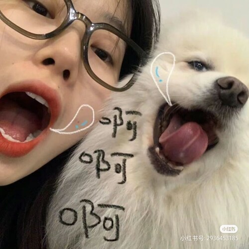 Visit sarahrodriguezr3's profile on GETTR. View their posts, photos, videos, and connect with them on the social platform.