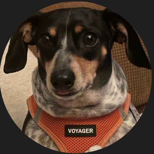 𝙁𝙖𝙢𝙞𝙡𝙮 ❤️ 
𝙂𝙤𝙙  ✝️
𝙍𝙚𝙨𝙥𝙚𝙘𝙩 🇺🇸


 
#Tinotaletrains, #patriotdrive #COG
TruthSocial @Tinotale