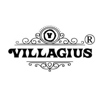 Welcome to Villagius, where you'll find stunning traditional Indian textiles, especially beautiful sarees.