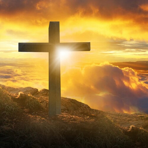 God first, family, Country, Pro life, Pro Second amendment, Freedom, on the “Right side” of life!