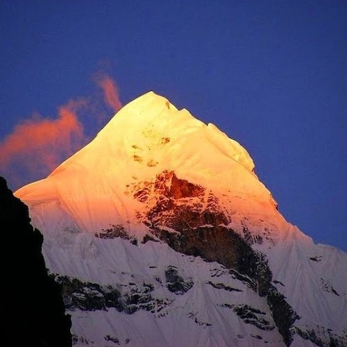 Visit shabatu撒把土's profile on GETTR. View their posts, photos, videos, and connect with them on the social platform.