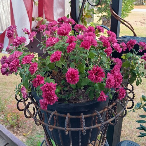 Visit Lisa_Monds's profile on GETTR. View their posts, photos, videos, and connect with them on the social platform.